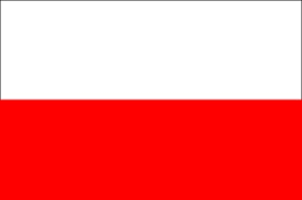grafika przedstawia flagę Polski